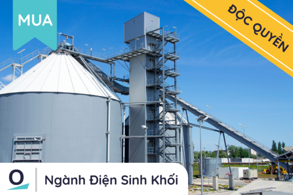 Ngành điện sinh khối