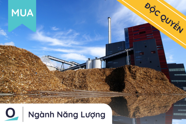 Đầu tư dự án điện sinh khối (gỗ, trấu) (1)