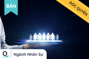 Dự án Gem (Bán cổ phần công ty giải pháp nhân sự)