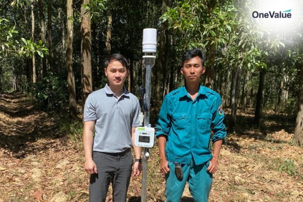 tin-chi-carbon-rung-viet-nam