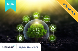 ự án ECO