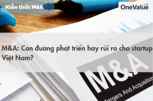 MA-start-up-Viet-Nam-300x199