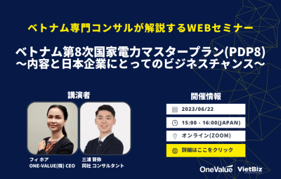 hoi-thao-quy-hoach-dien-viii-cua-viet-nam-2