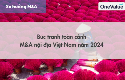Bức tranh toàn cảnh M&A nội địa Việt Nam năm 2024