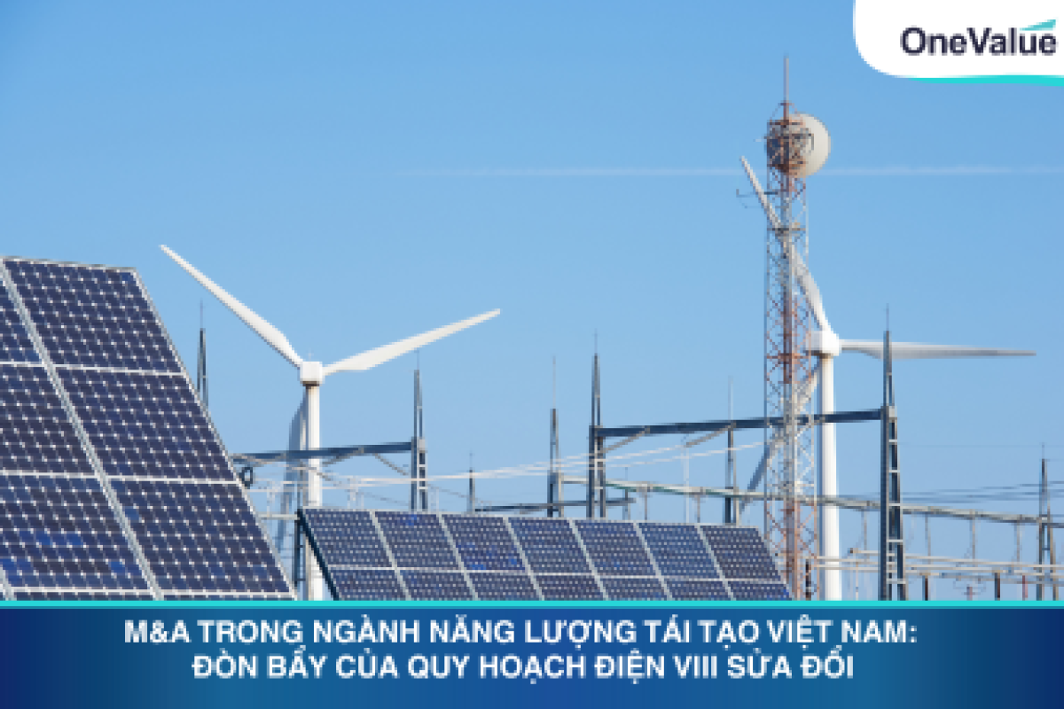 Banner Bài thị trường (3)
