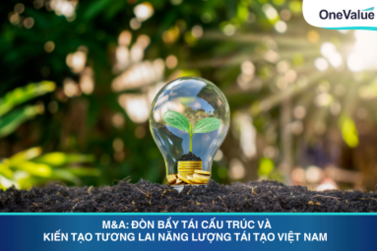 M&A: Đòn bẩy tái cấu trúc và kiến tạo tương lai năng lượng tái tạo Việt Nam